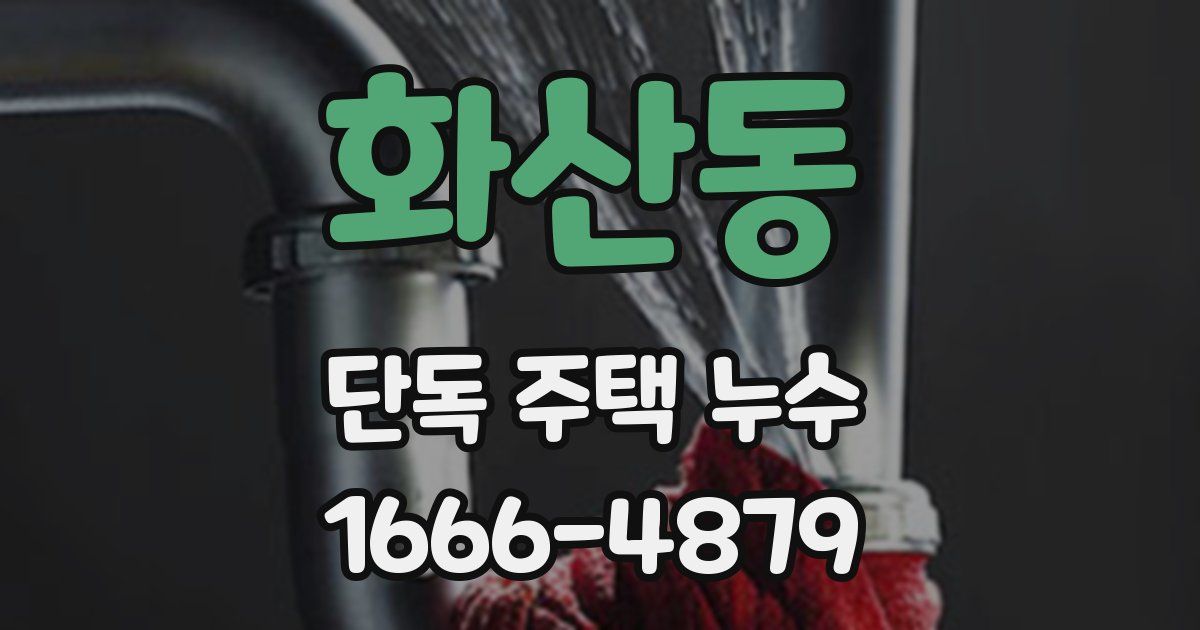 화산동 단독 주택 누수