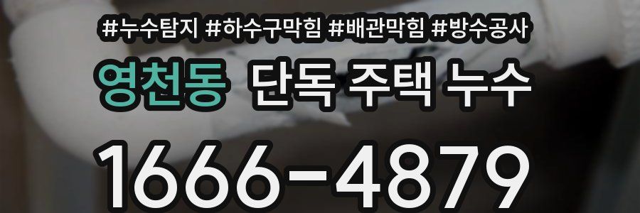 영천동 단독 주택 누수