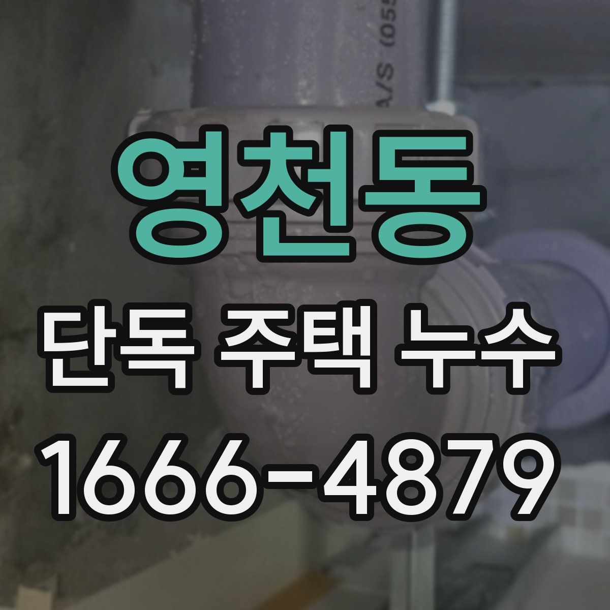 영천동 단독 주택 누수