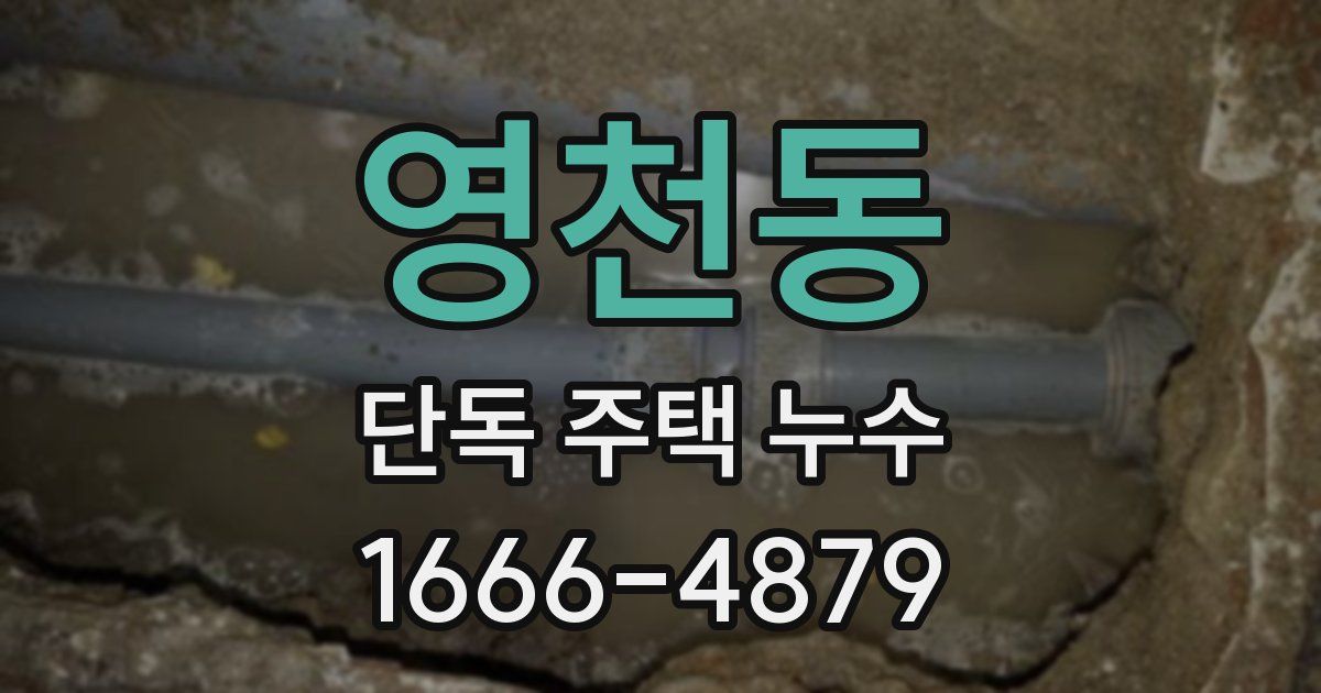 영천동 단독 주택 누수