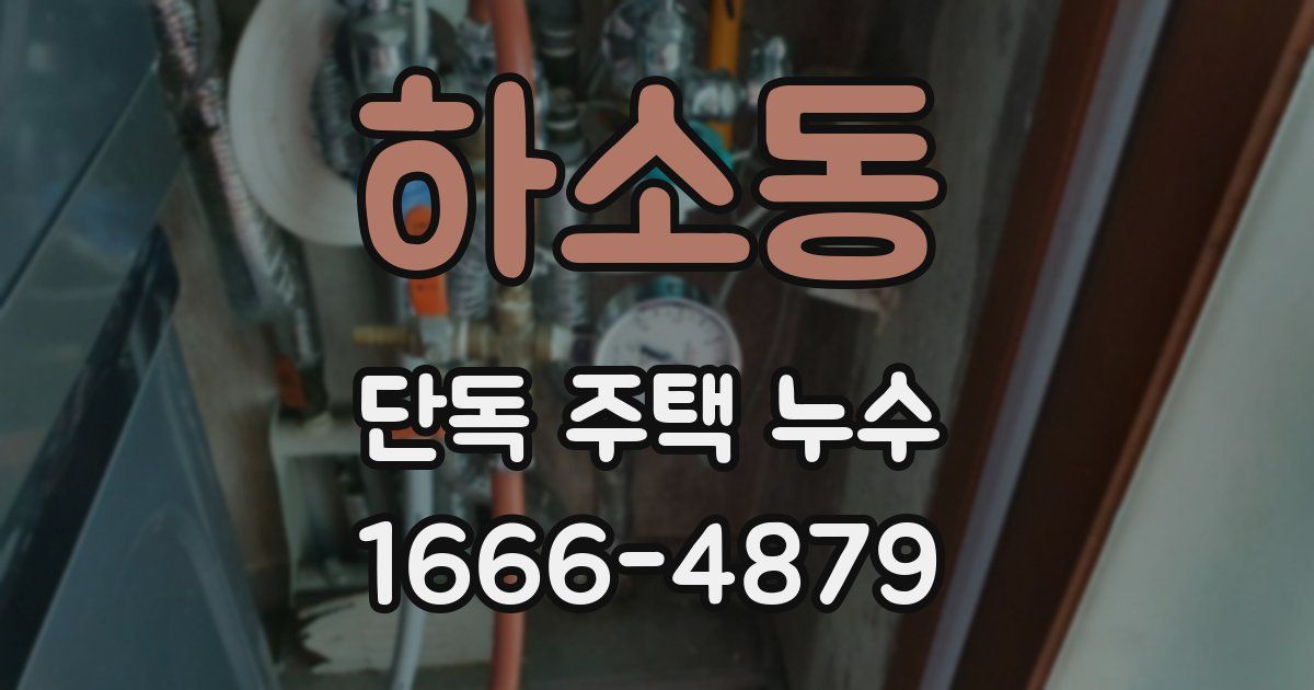 하소동 단독 주택 누수
