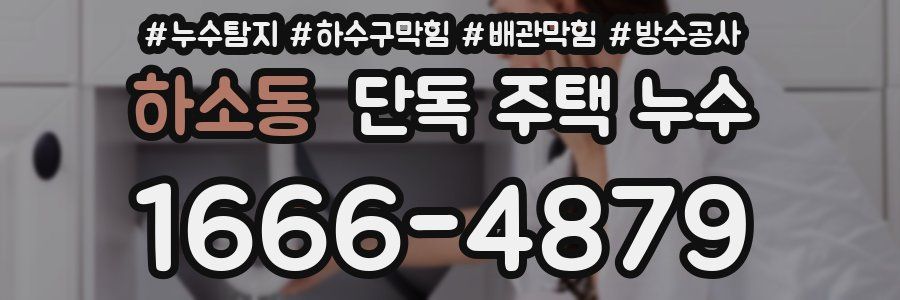 하소동 단독 주택 누수