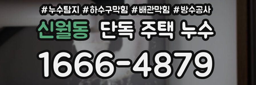 신월동 단독 주택 누수