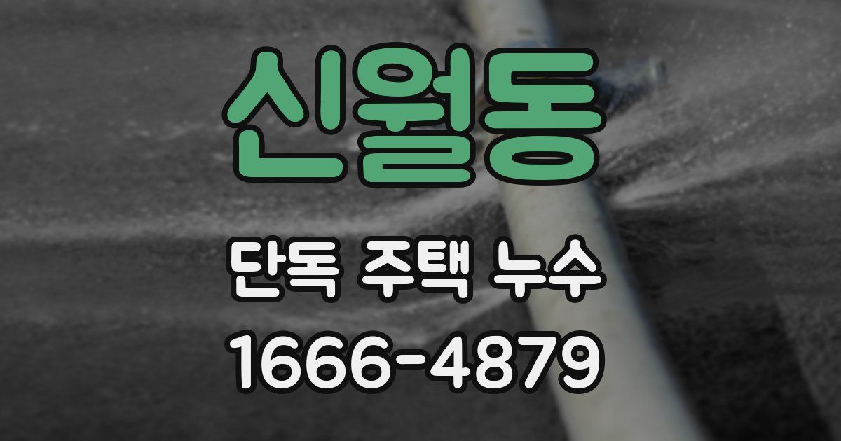 신월동 단독 주택 누수