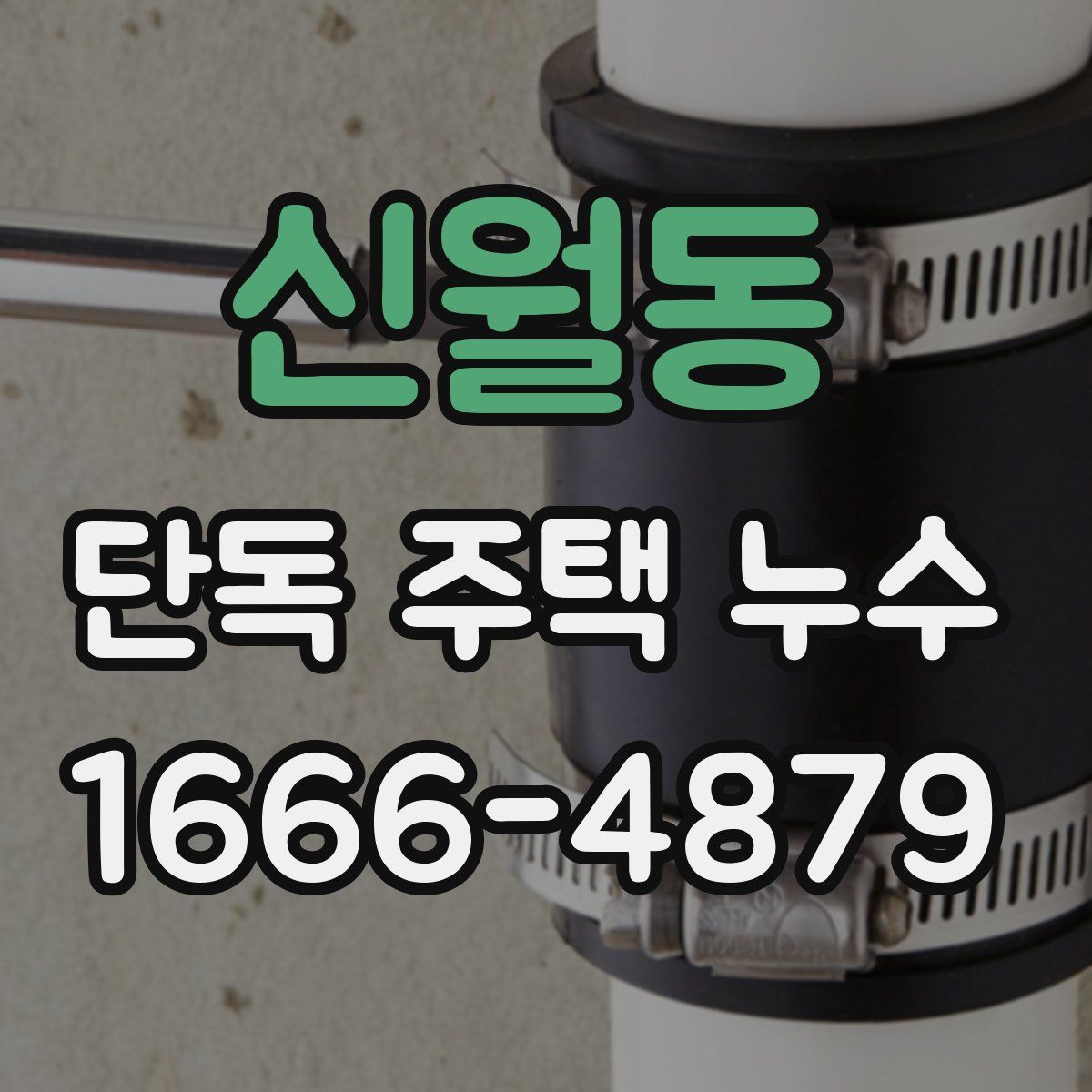 신월동 단독 주택 누수