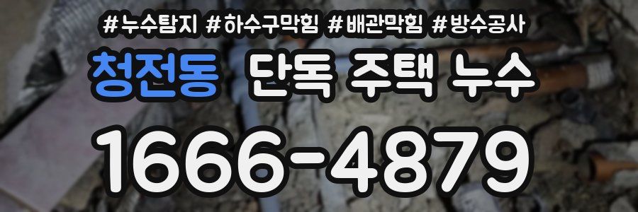 청전동 단독 주택 누수