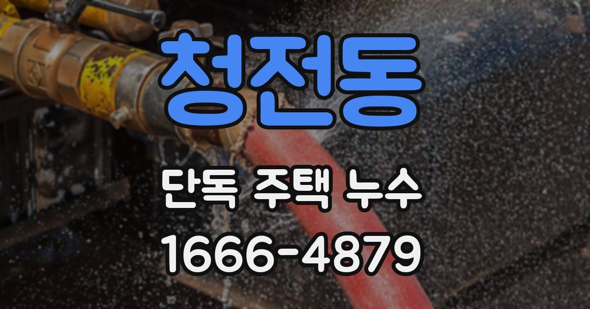 청전동 단독 주택 누수