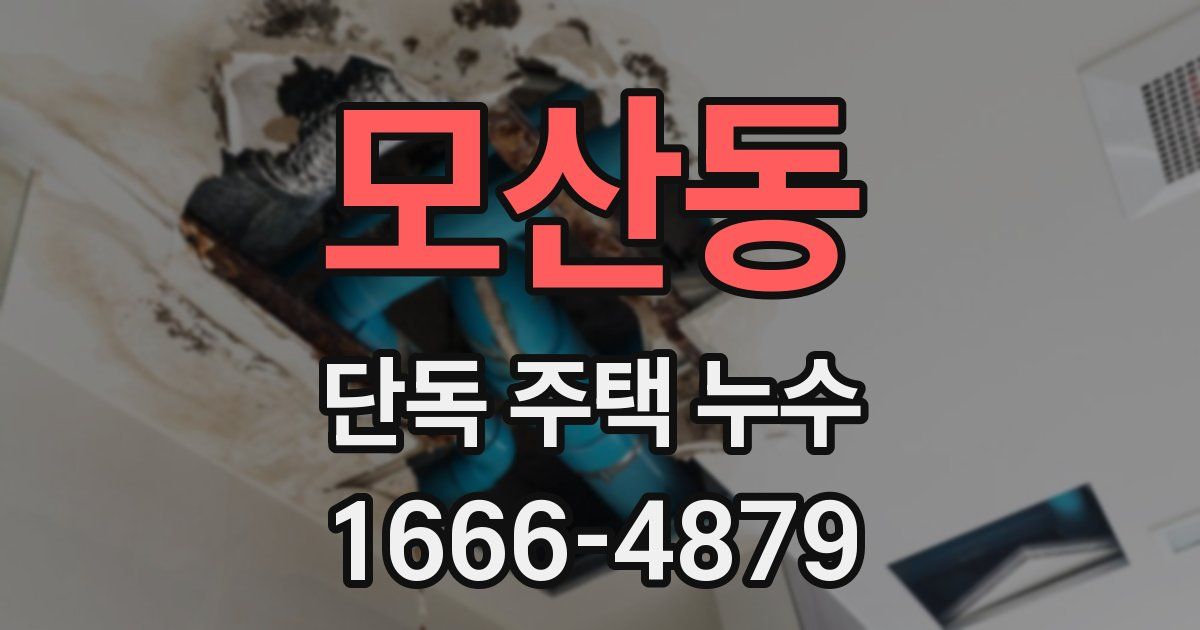 모산동 단독 주택 누수