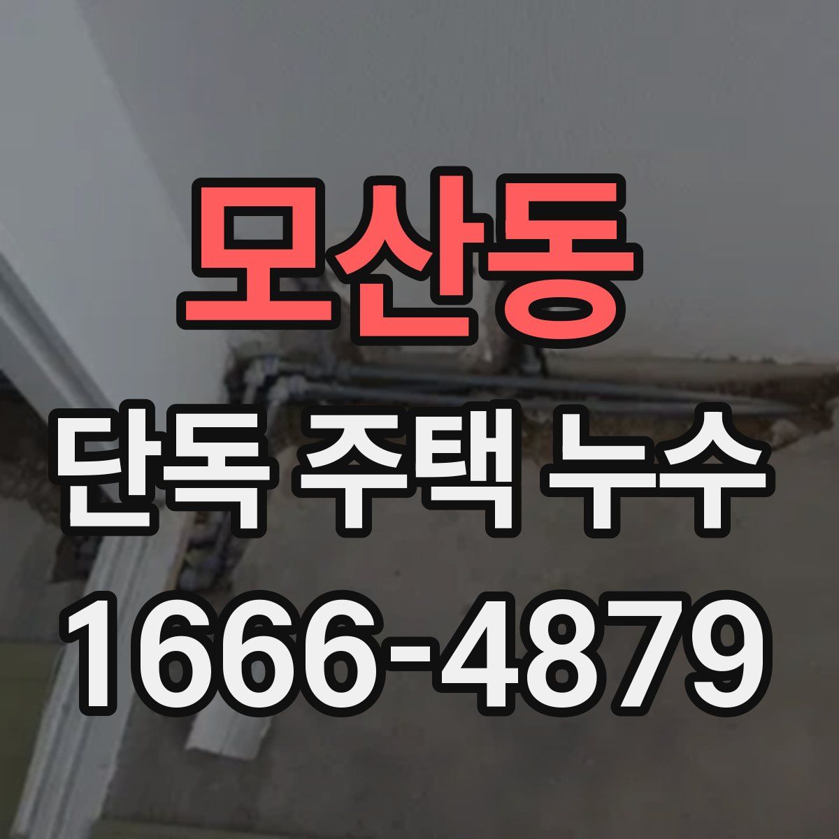 모산동 단독 주택 누수