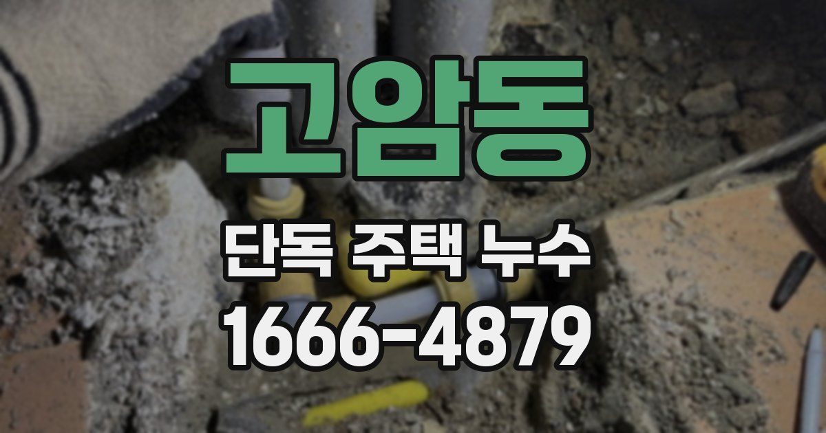 고암동 단독 주택 누수