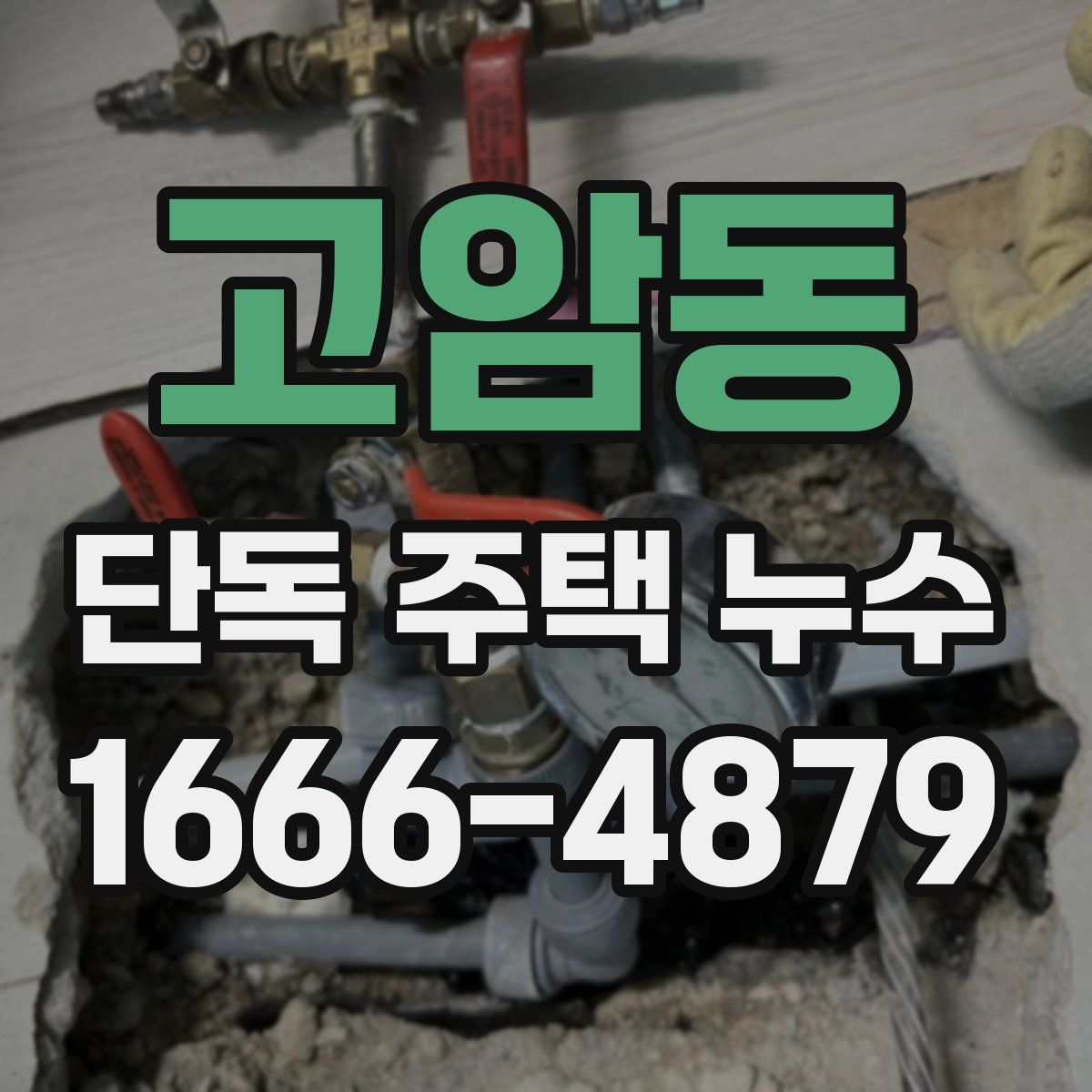 고암동 단독 주택 누수