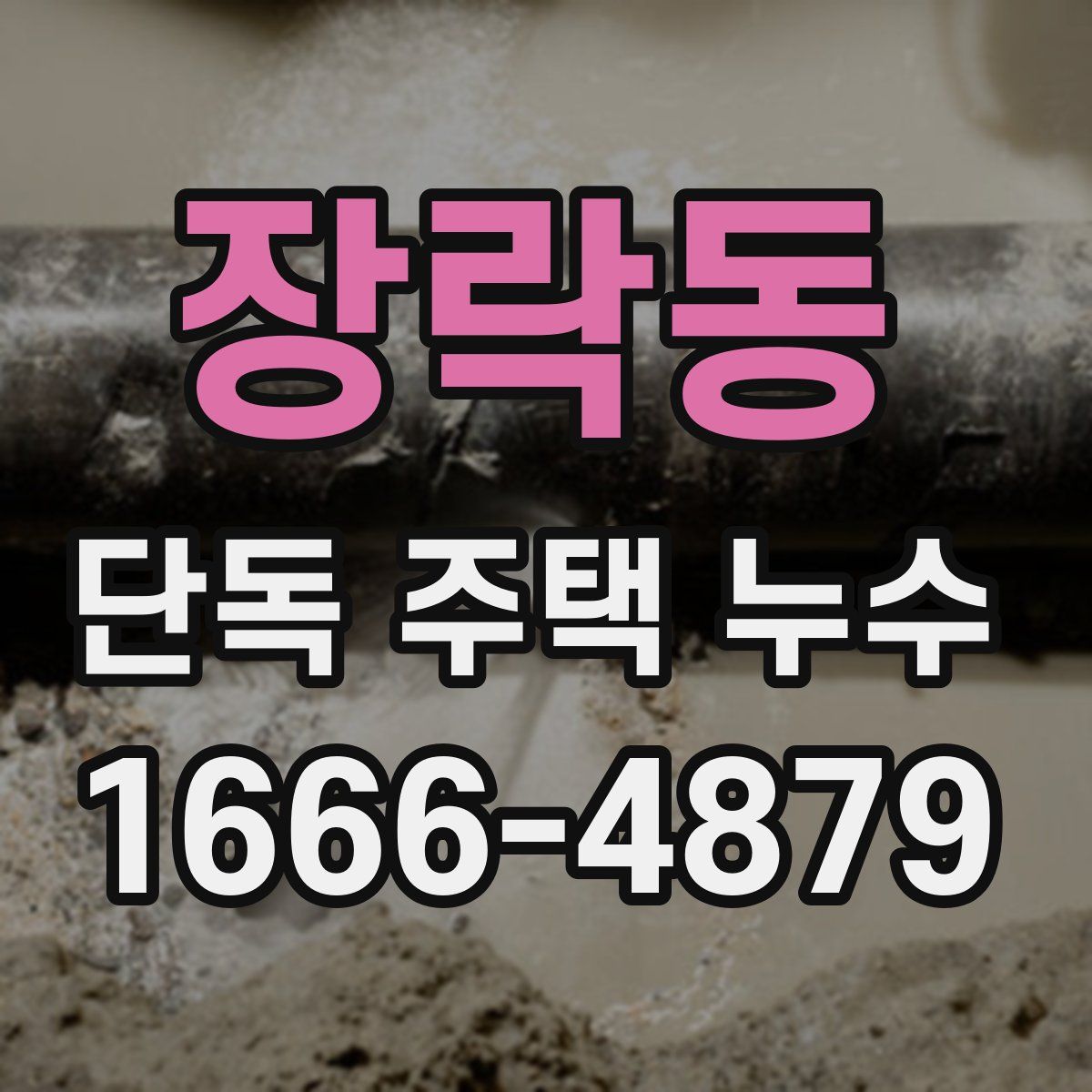 장락동 단독 주택 누수
