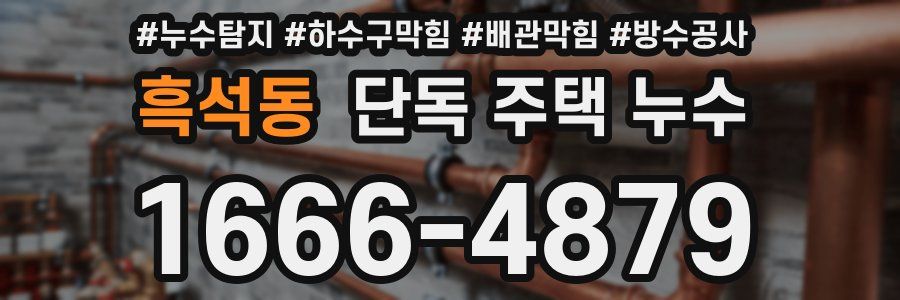 흑석동 단독 주택 누수
