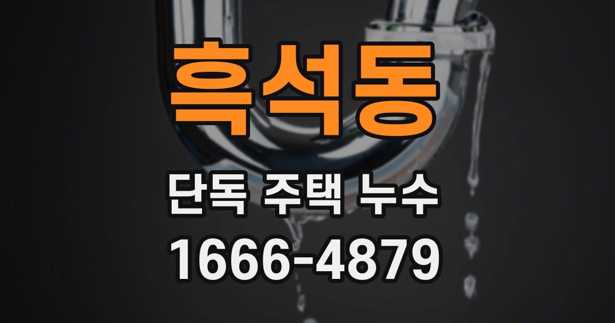 흑석동 단독 주택 누수