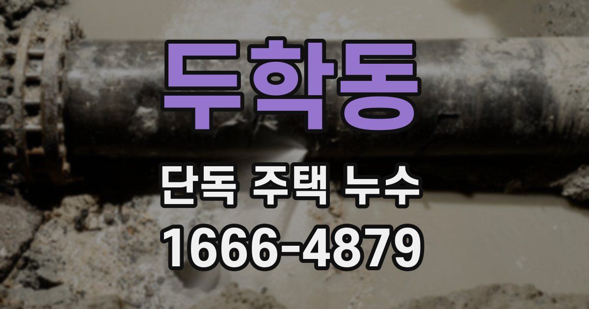 두학동 단독 주택 누수