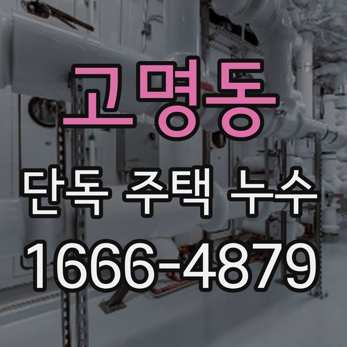 고명동 단독 주택 누수 의심 때 바로 해야 할 일