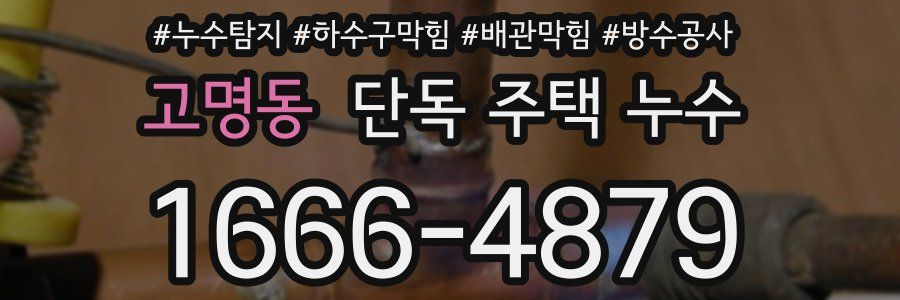 고명동 단독 주택 누수