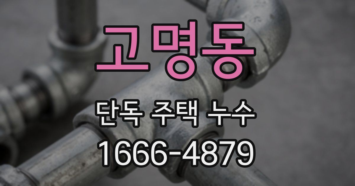 고명동 단독 주택 누수