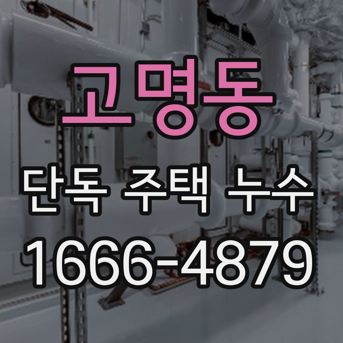 고명동 단독 주택 누수