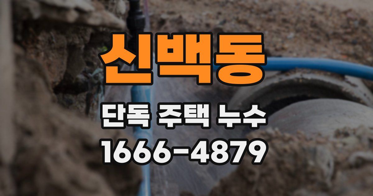 신백동 단독 주택 누수