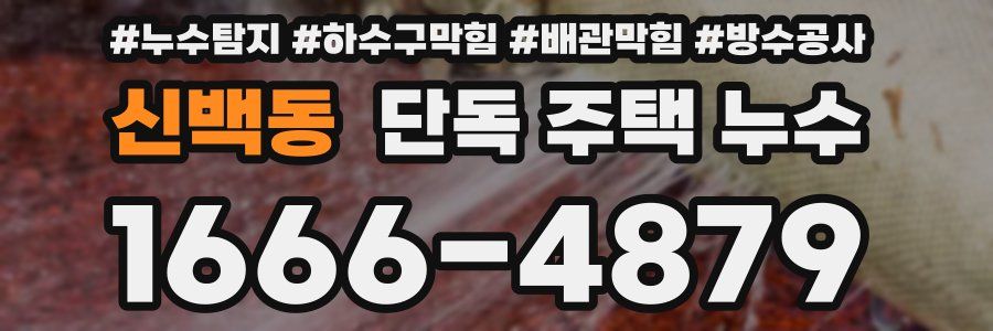 신백동 단독 주택 누수