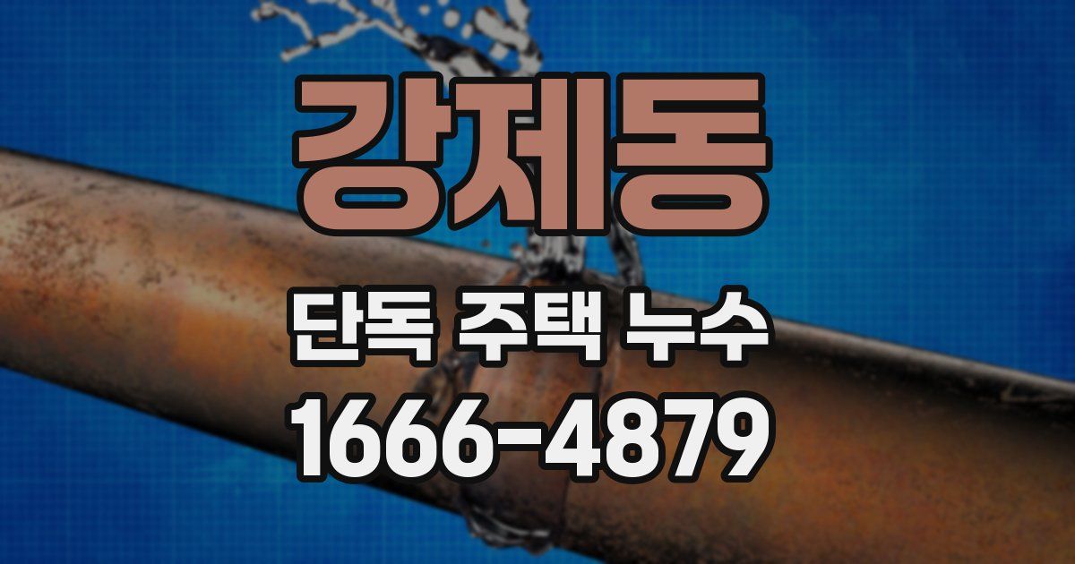 강제동 단독 주택 누수