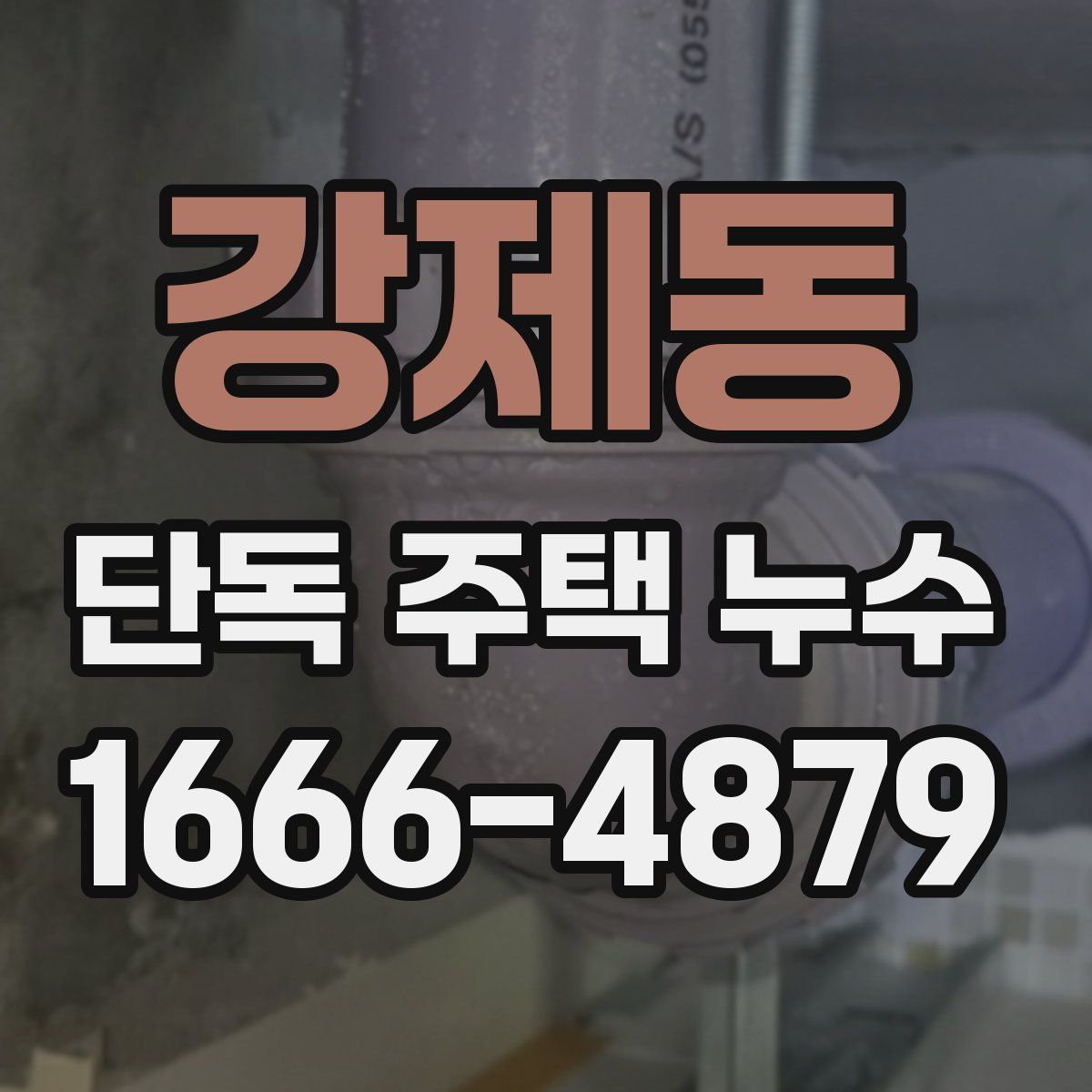 강제동 단독 주택 누수