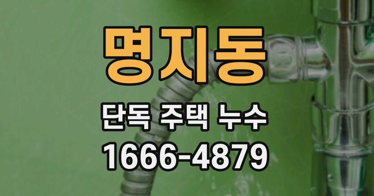 명지동 단독 주택 누수