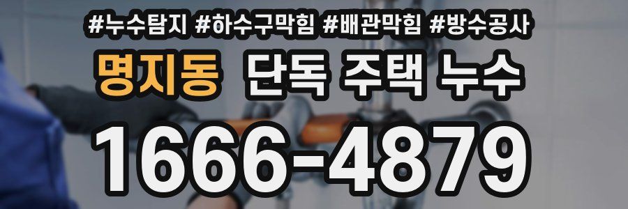 명지동 단독 주택 누수