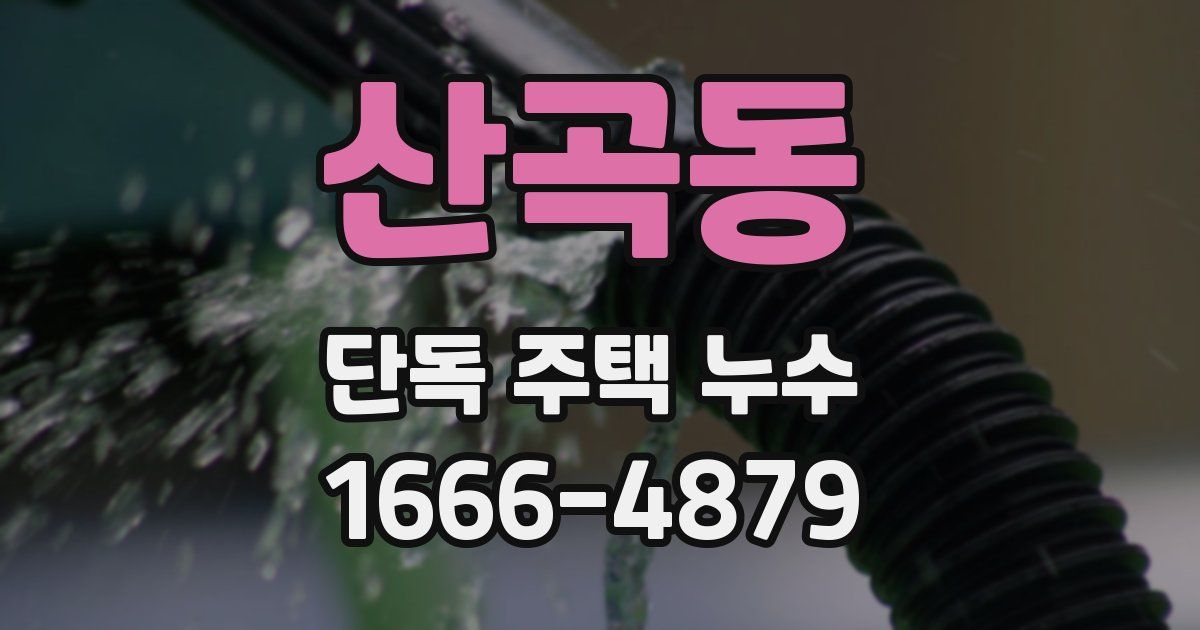 산곡동 단독 주택 누수