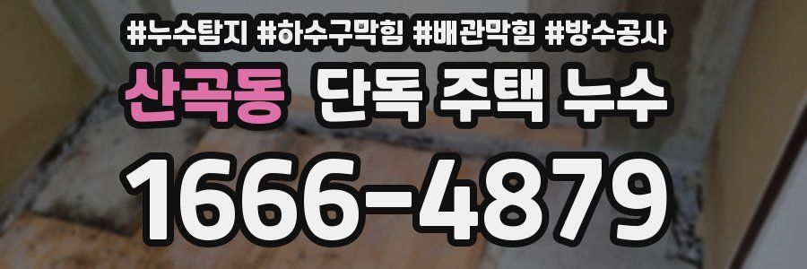 산곡동 단독 주택 누수