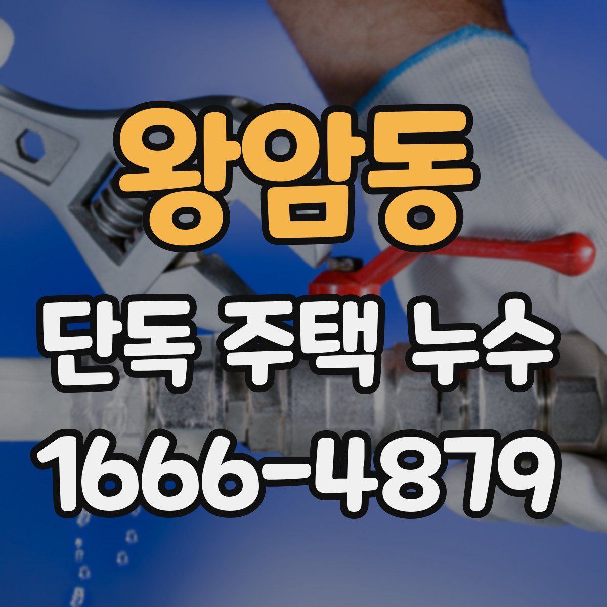 왕암동 단독 주택 누수