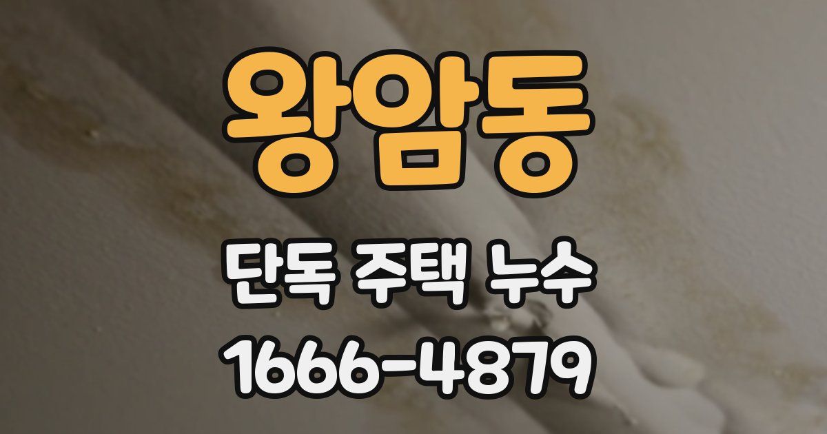 왕암동 단독 주택 누수