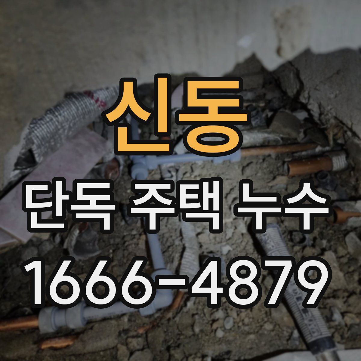 신동 단독 주택 누수