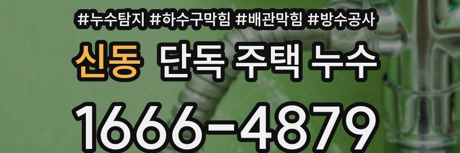 신동 단독 주택 누수