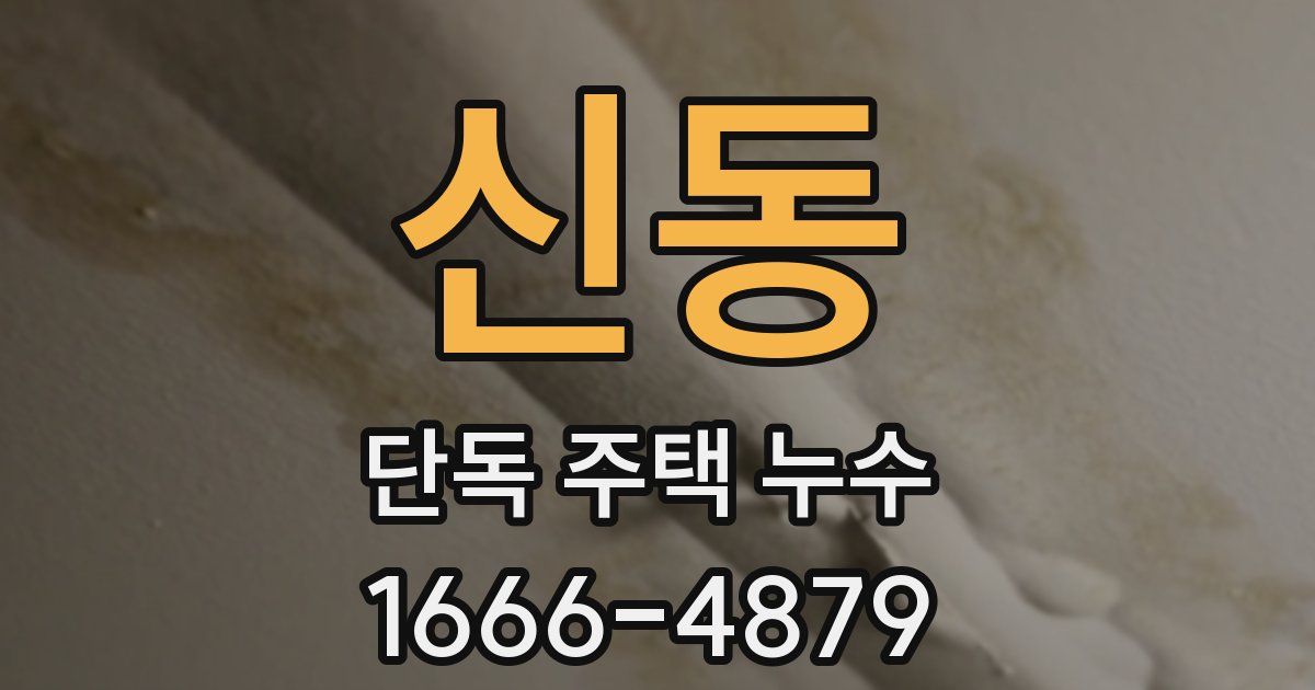 신동 단독 주택 누수