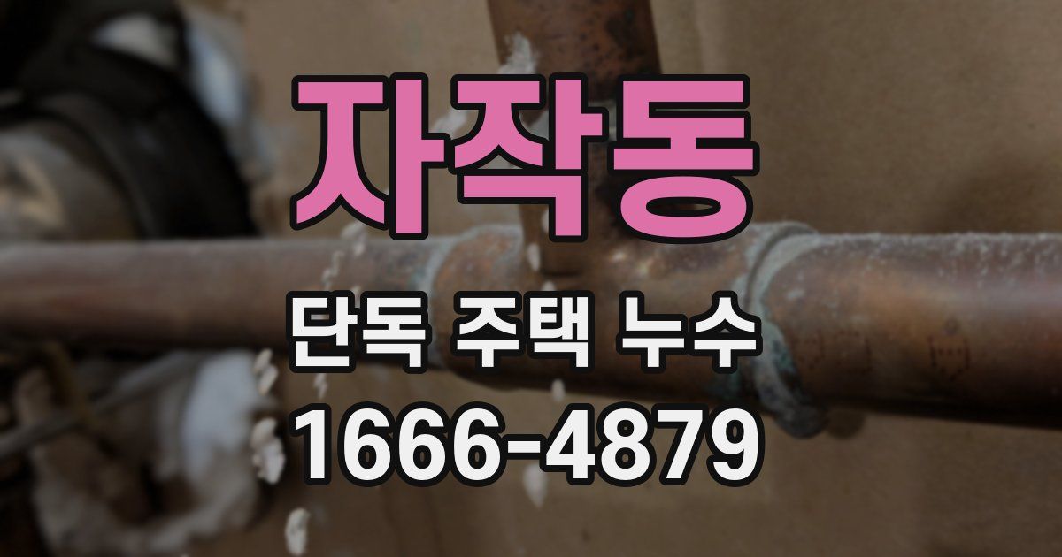 자작동 단독 주택 누수