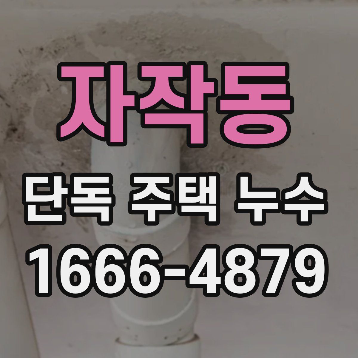 자작동 단독 주택 누수