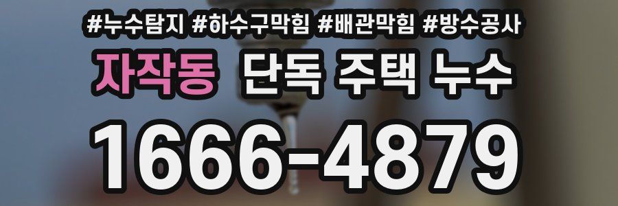 자작동 단독 주택 누수