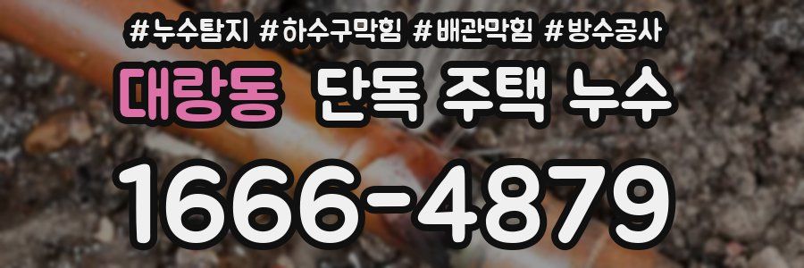 대랑동 단독 주택 누수
