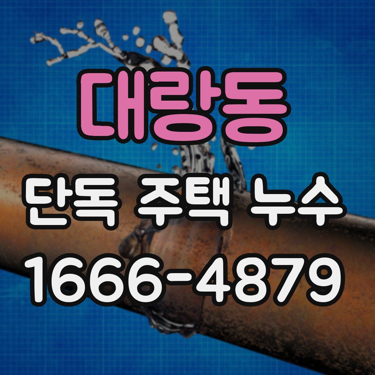 대랑동 단독 주택 누수