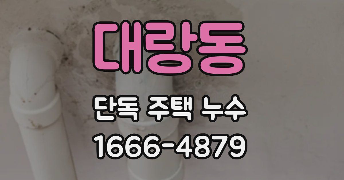 대랑동 단독 주택 누수