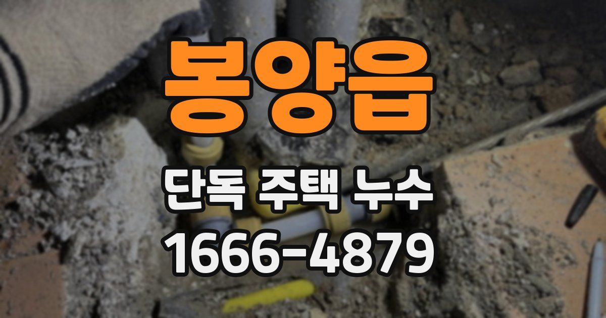봉양읍 단독 주택 누수