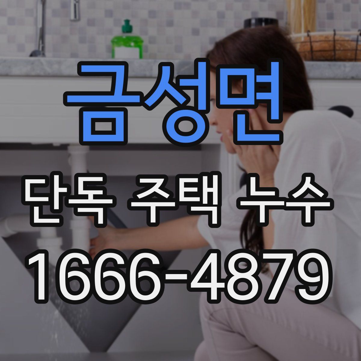 금성면 단독 주택 누수