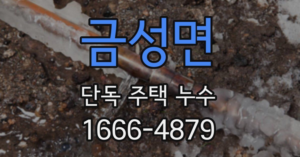 금성면 단독 주택 누수