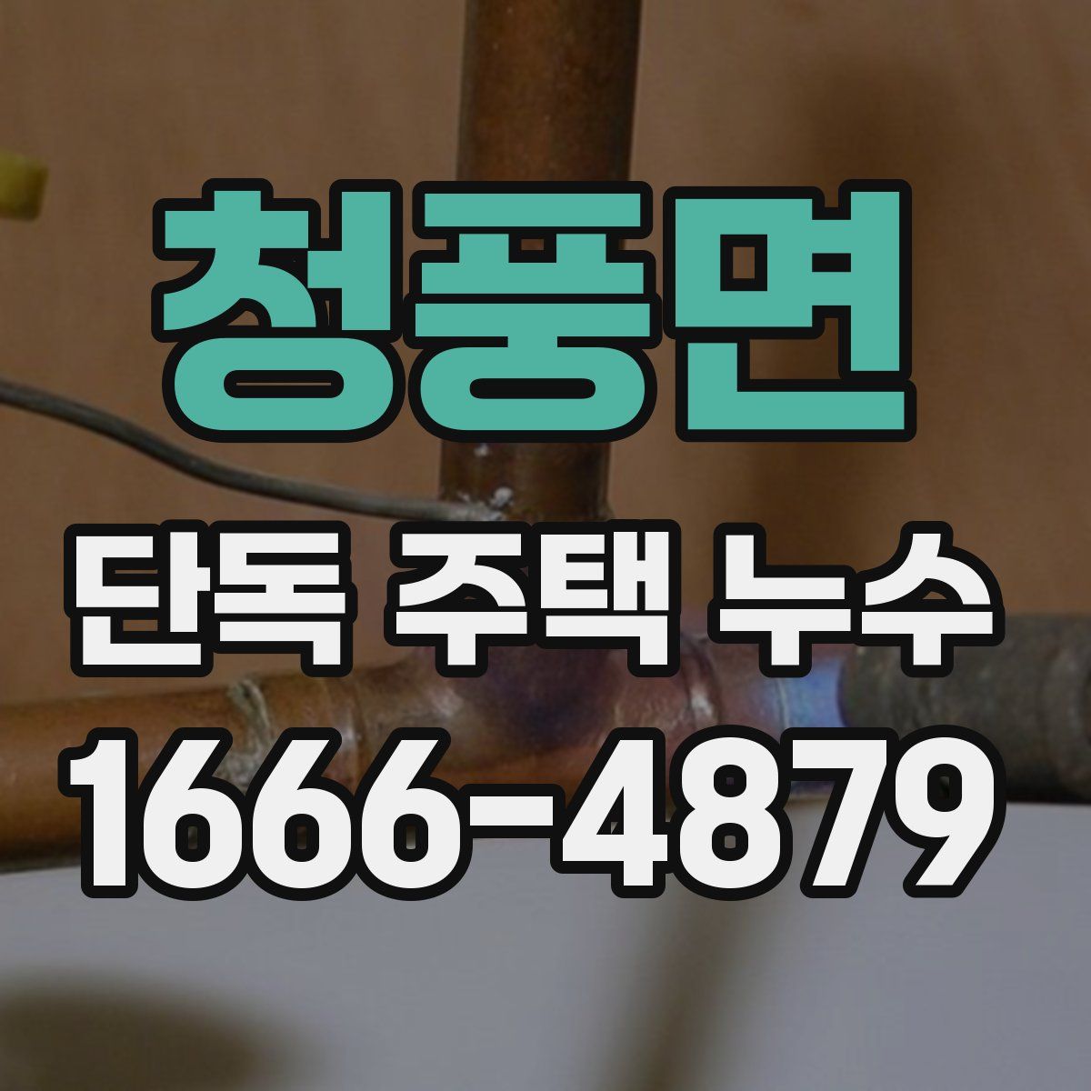 청풍면 단독 주택 누수