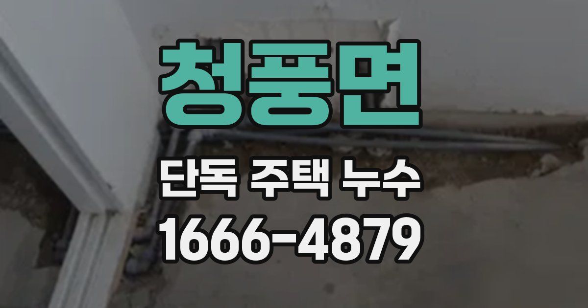 청풍면 단독 주택 누수