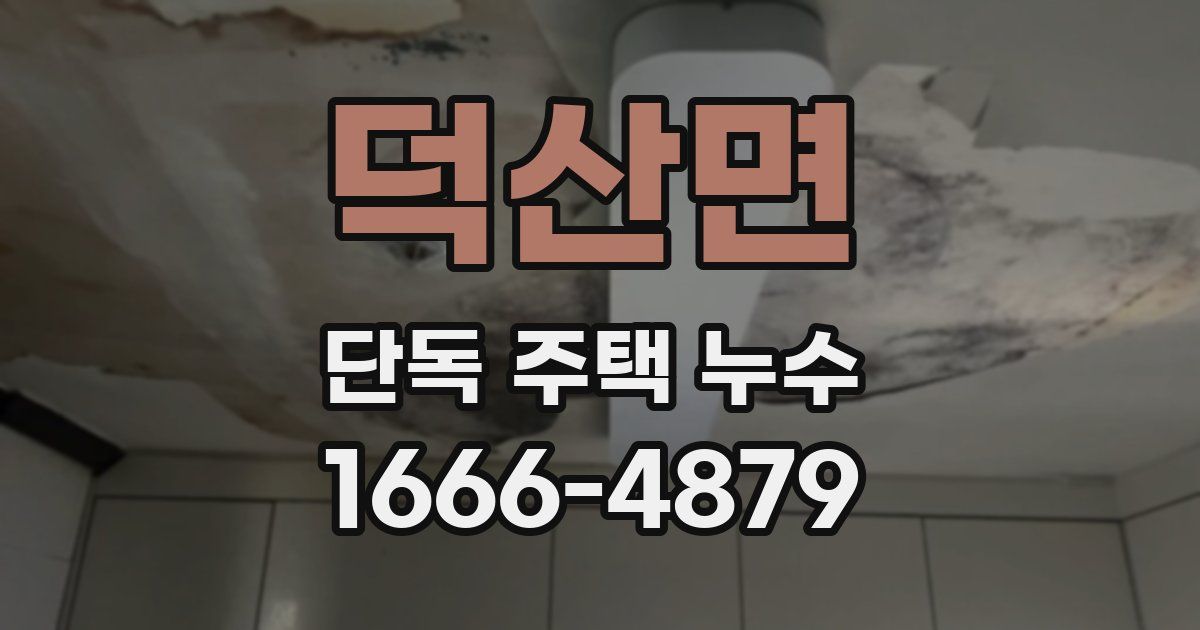 덕산면 단독 주택 누수