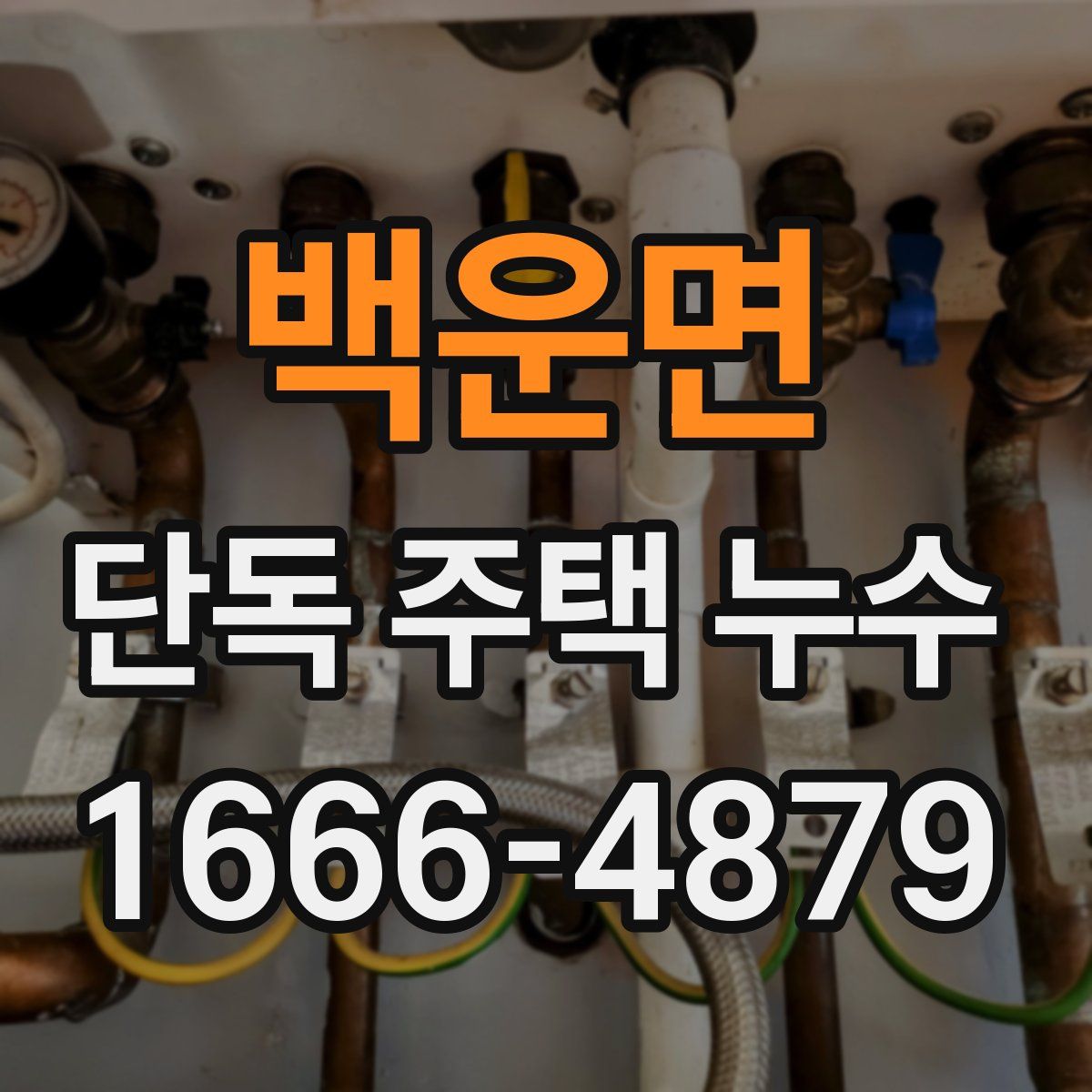 백운면 단독 주택 누수
