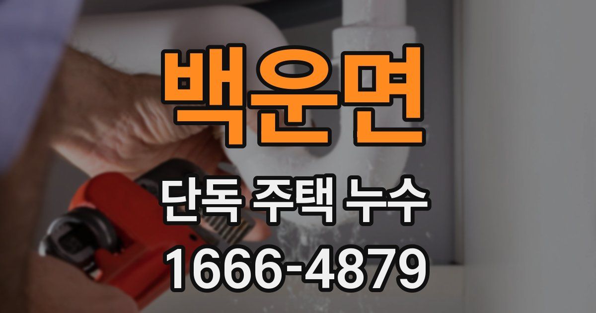 백운면 단독 주택 누수